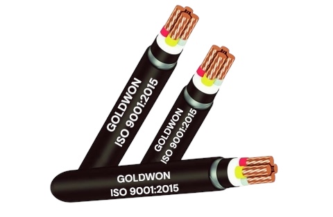 Cáp điện hạ thế 1,2,3,4 lõi đồng có 01 lớp giáp bảo vệ, điện áp 0,6/1kV - CU/XLPE/PVC/DSTA/PVC